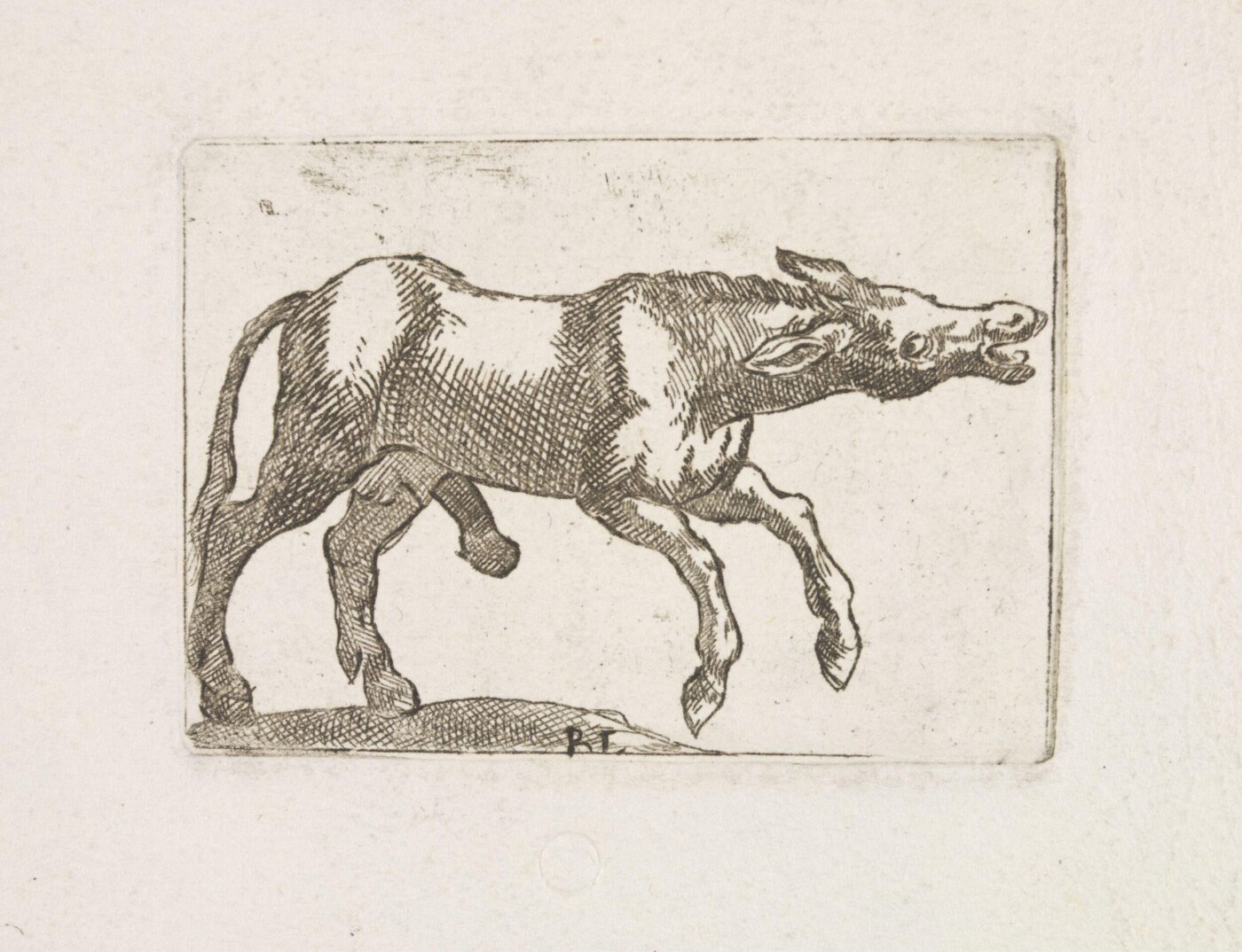 Unknown, Print