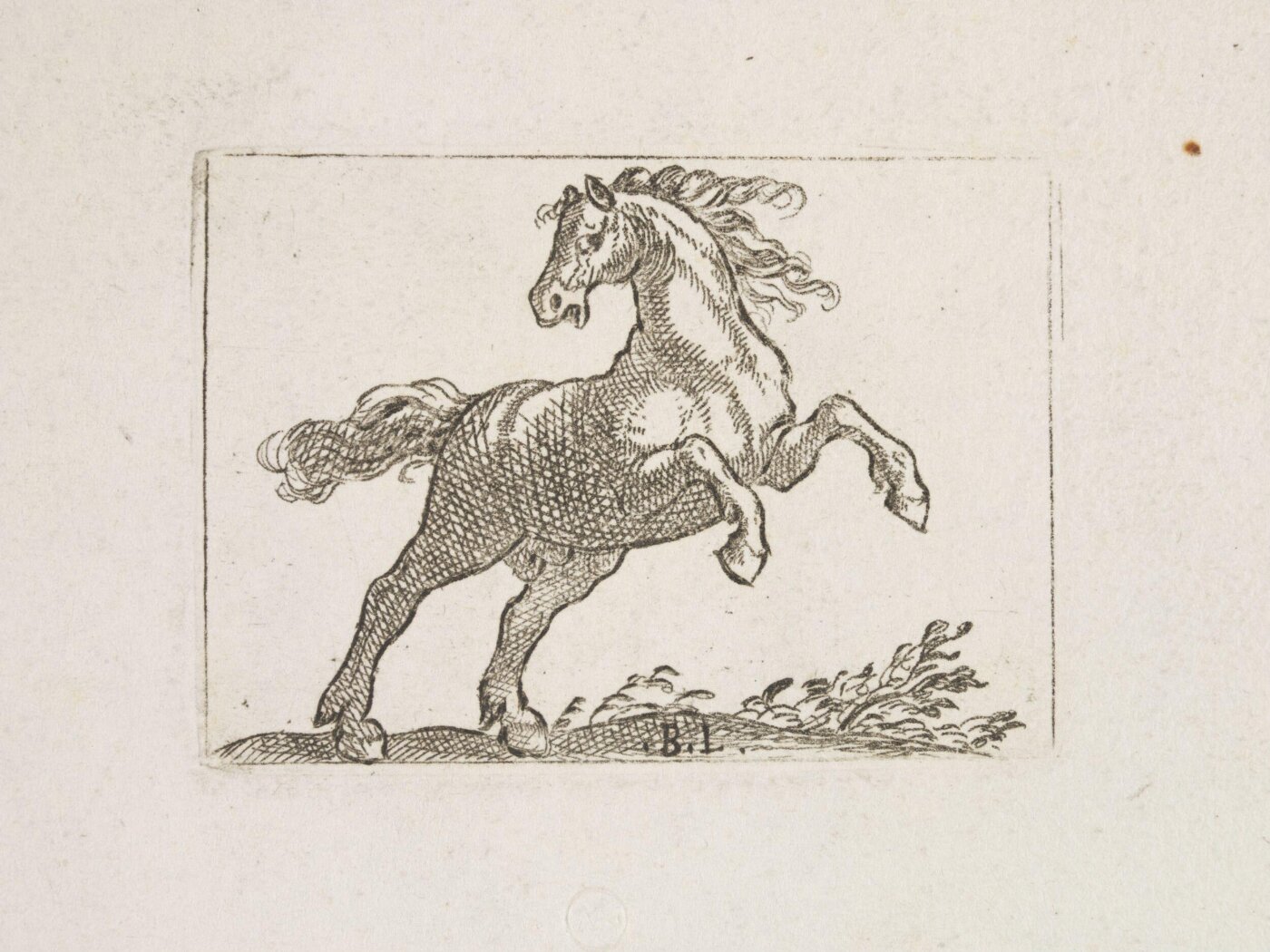 Unknown, Print