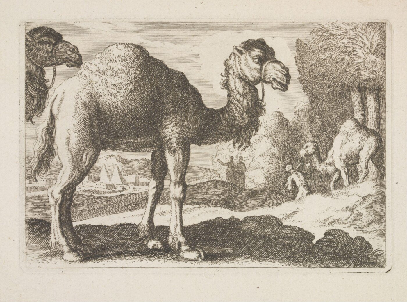 Unknown, Print