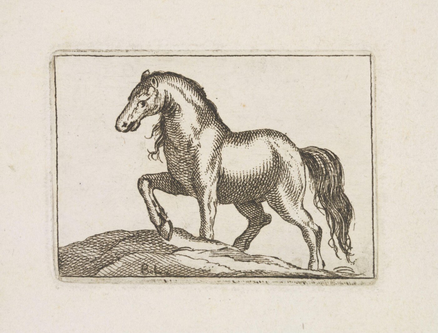 Unknown, Print