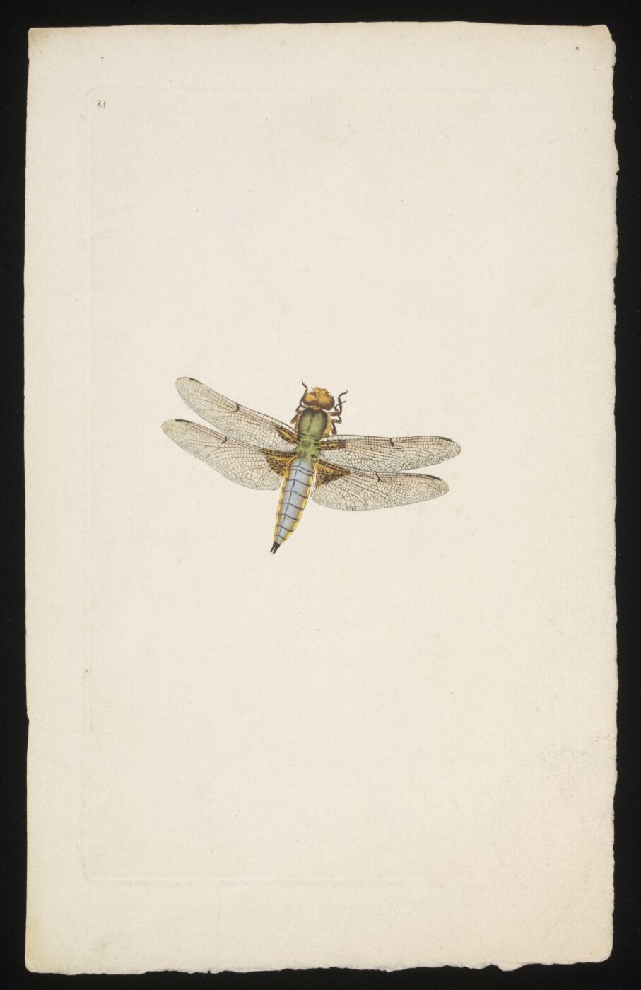 Unknown, Print