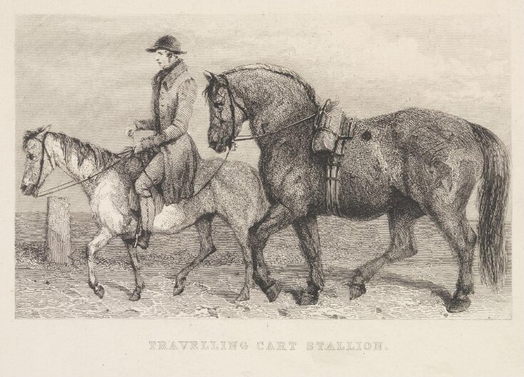 Travelling Cart Stallion top image