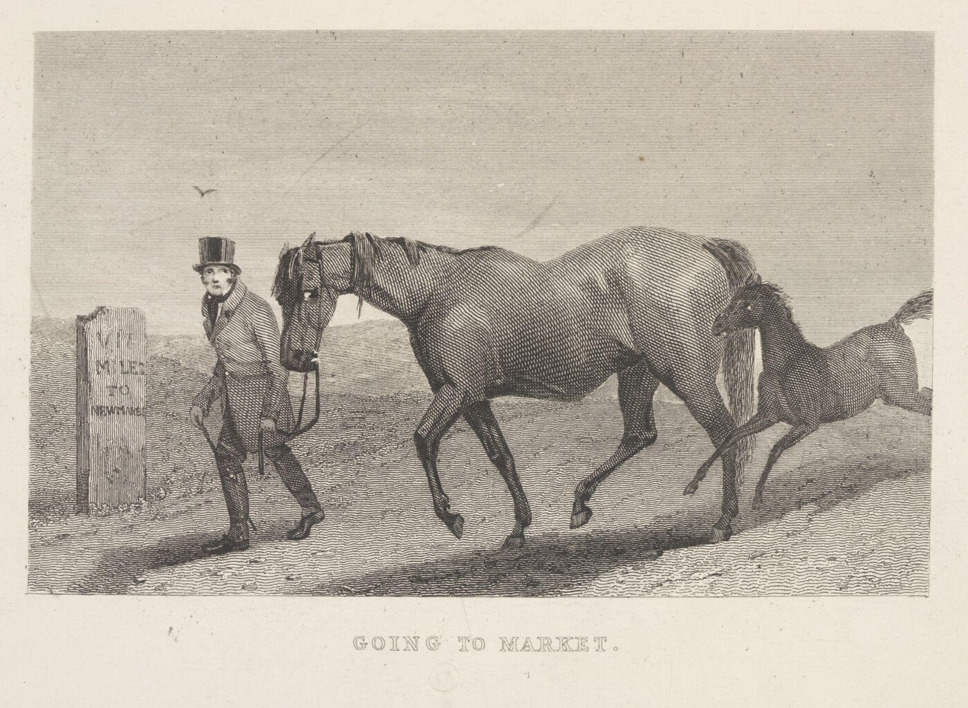 Unknown, Going To Market