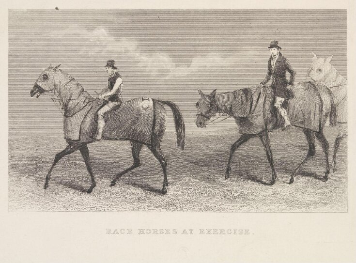 Race Horses At Exercise. top image