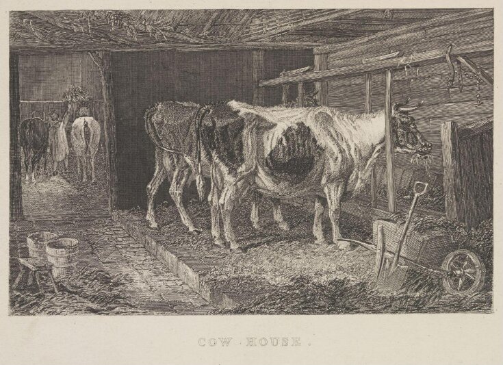 Cow House. top image
