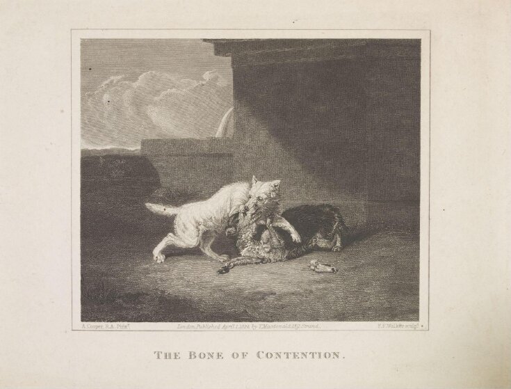 The Bone of Contention top image