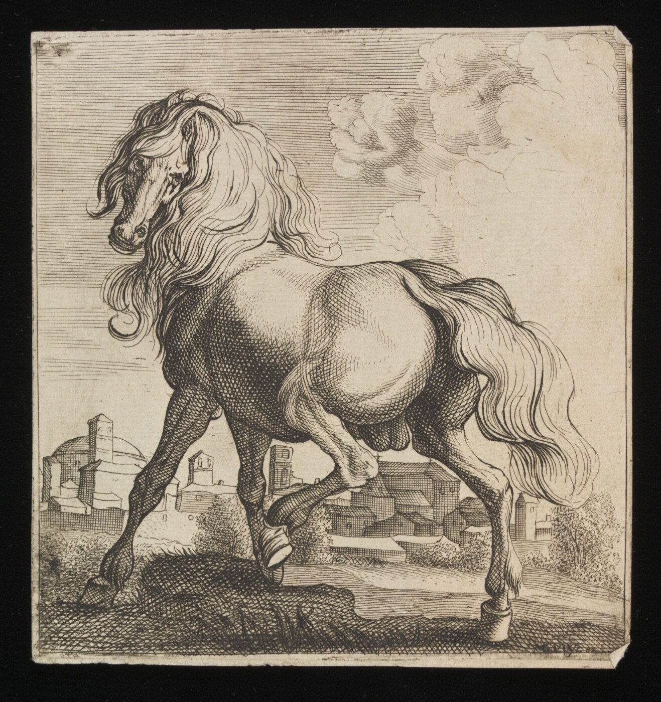 Unknown, Print