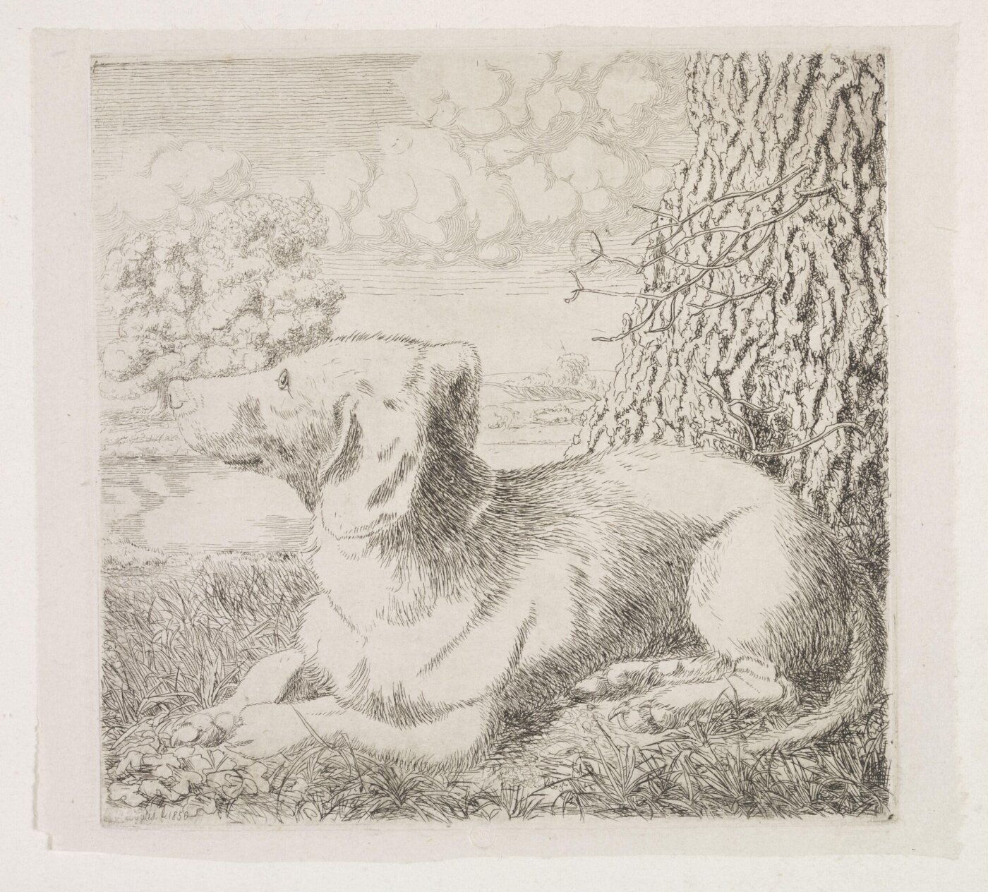 Unknown, Print