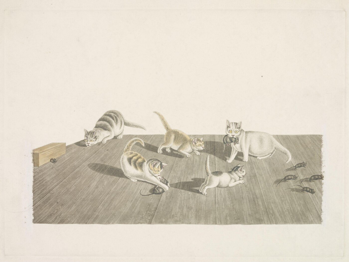 Unknown, Print