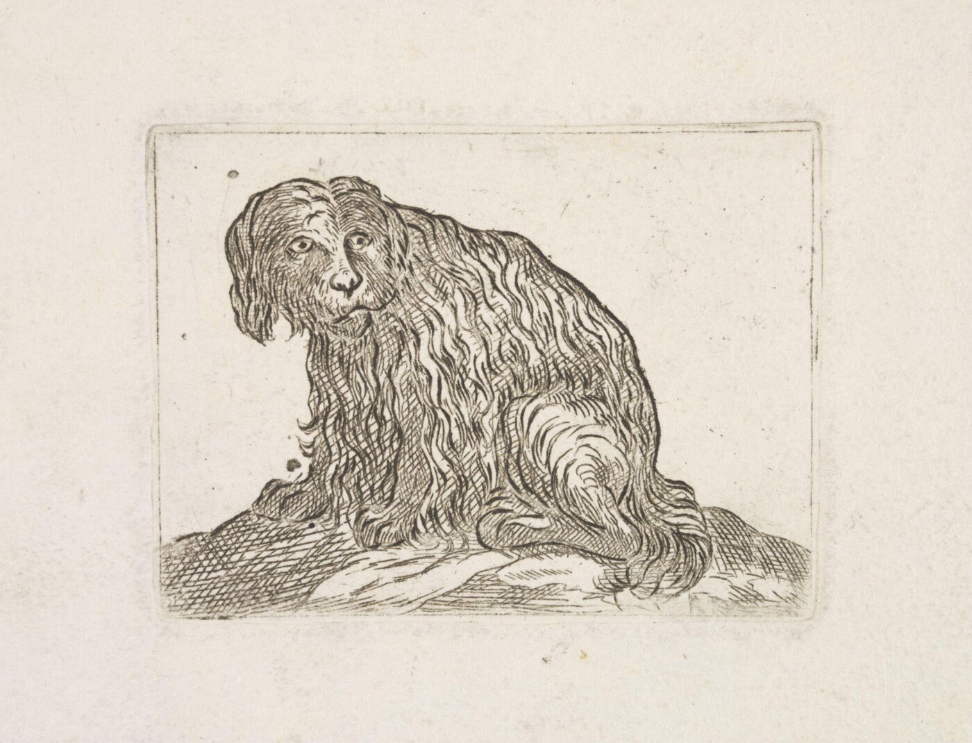 Unknown, Print