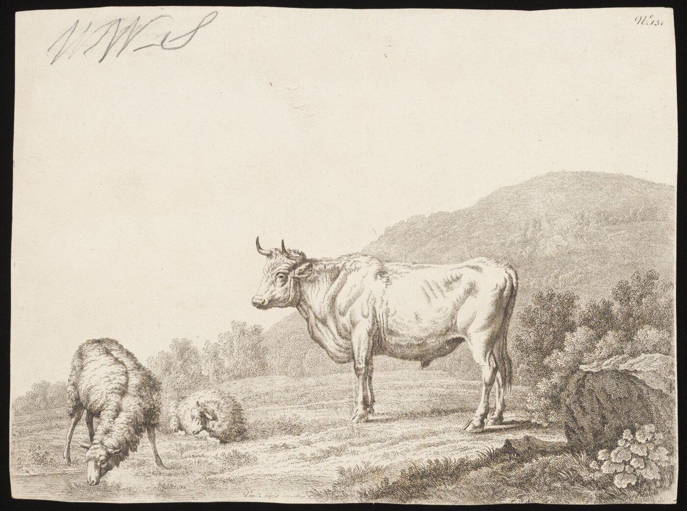 Unknown, Print