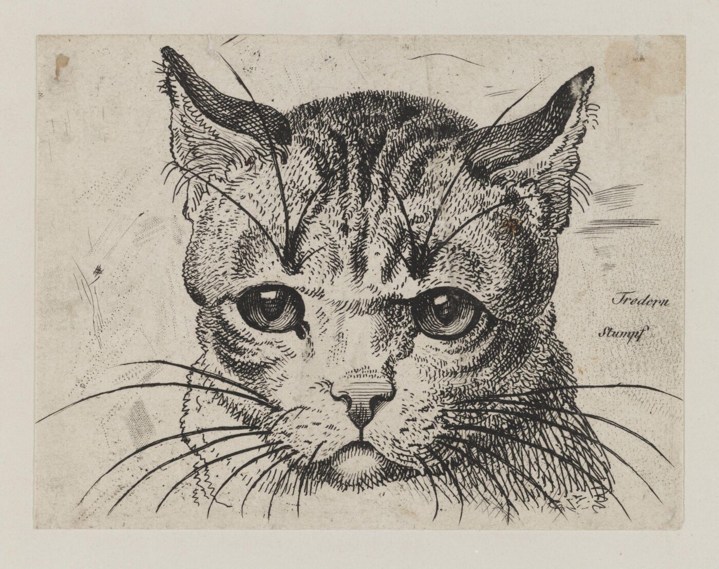 Unknown, Print