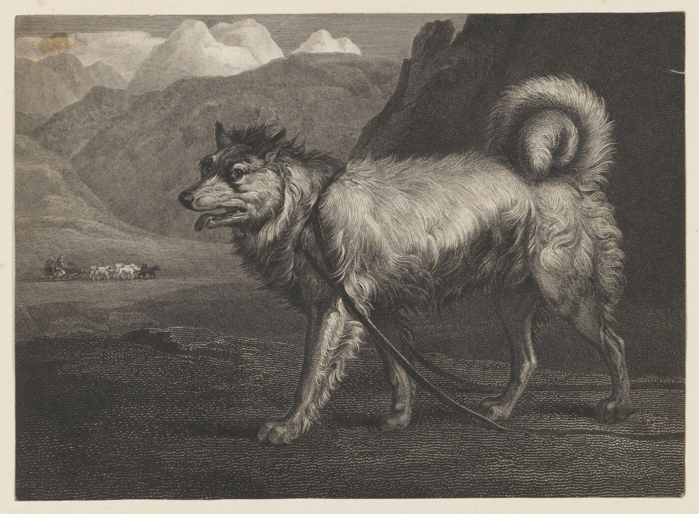 Unknown, Print