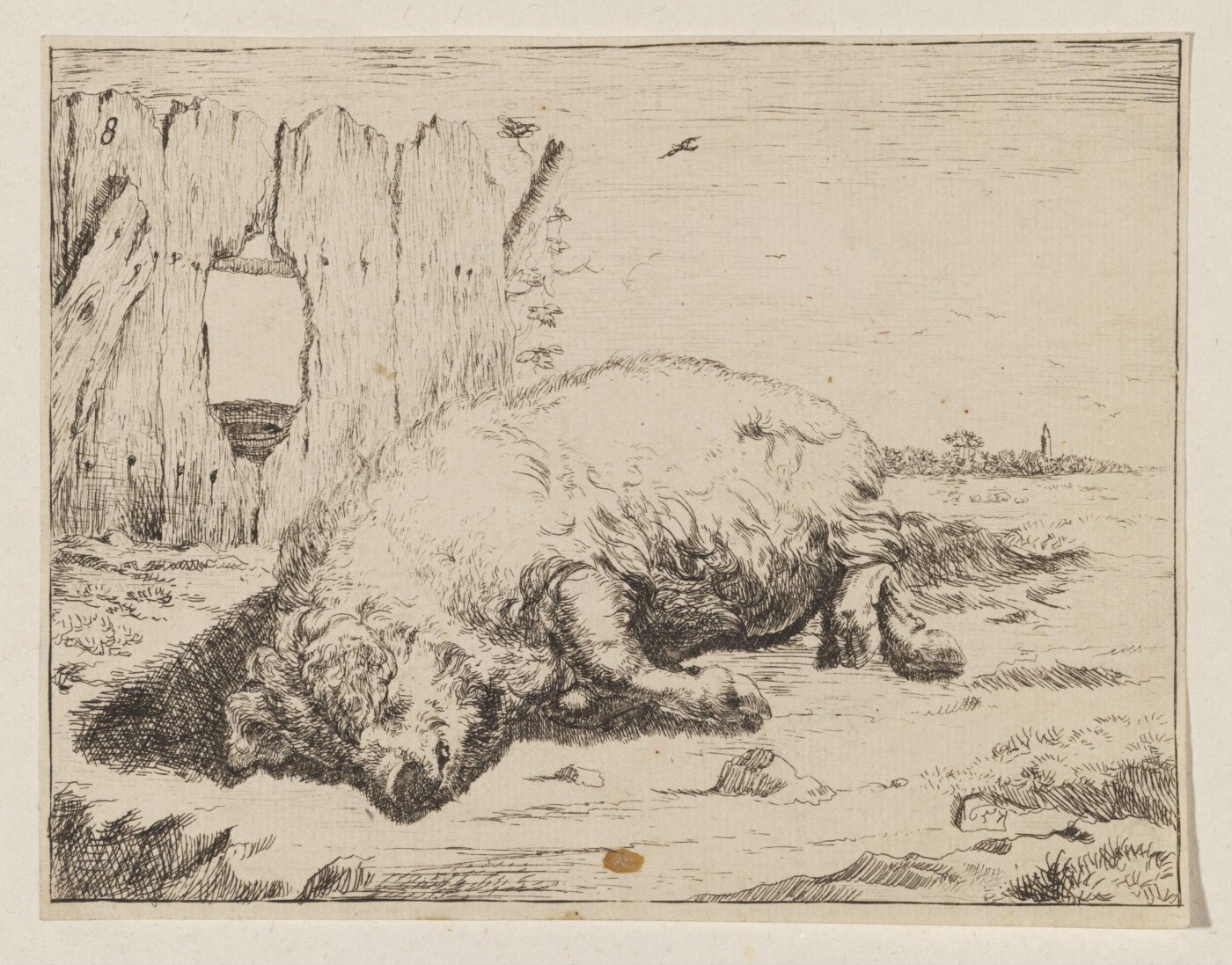Unknown, Print