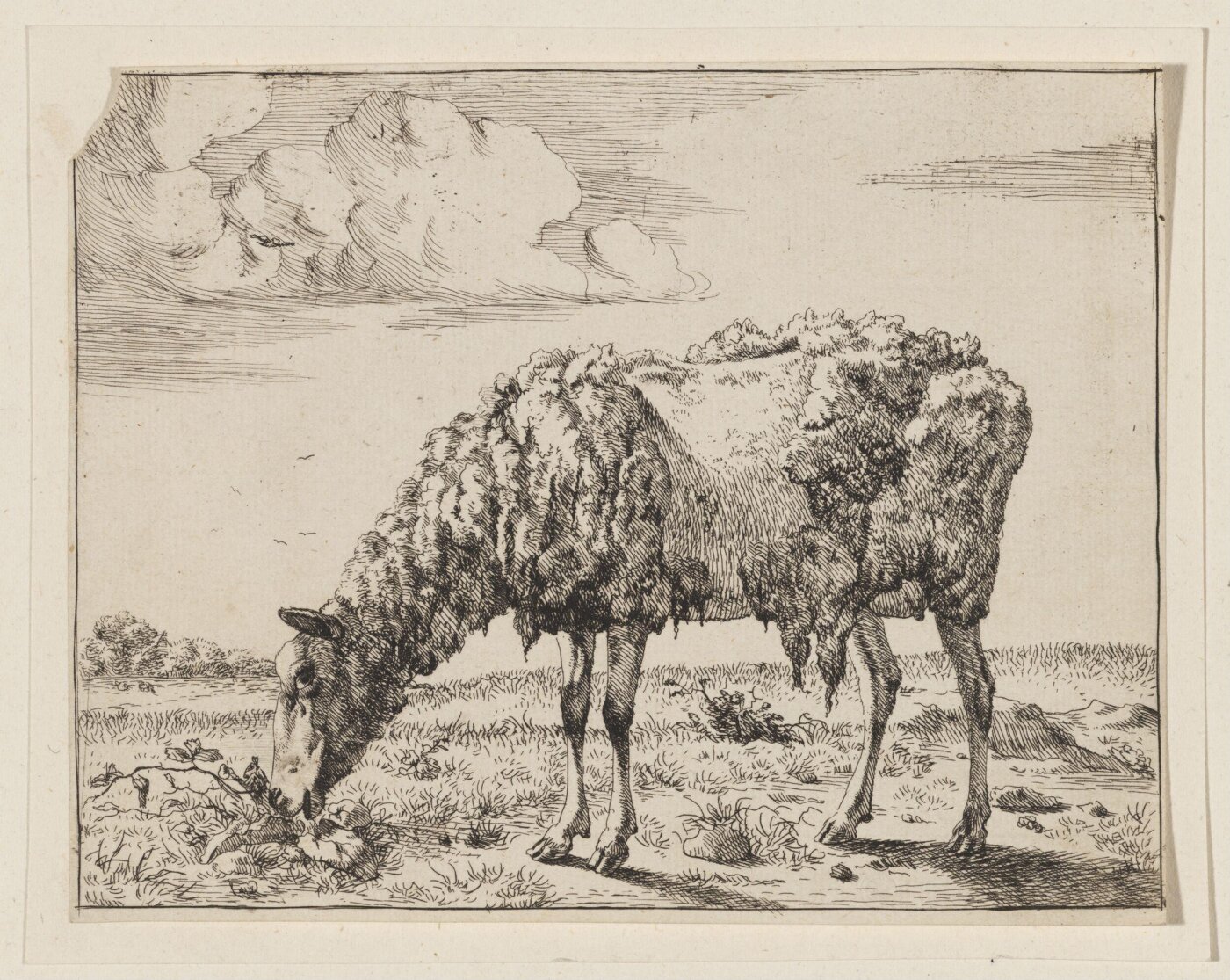 Unknown, Print