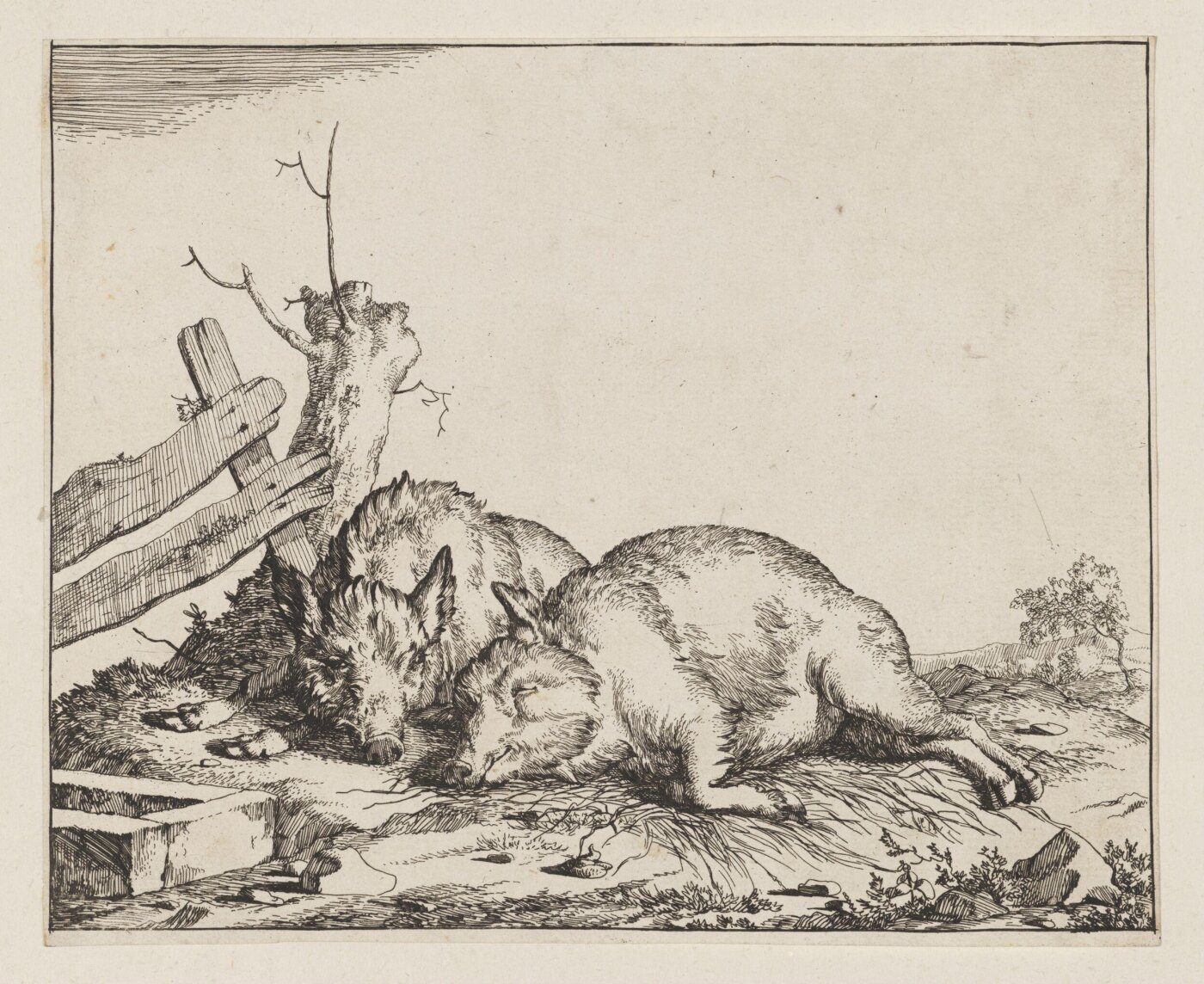 Unknown, Print