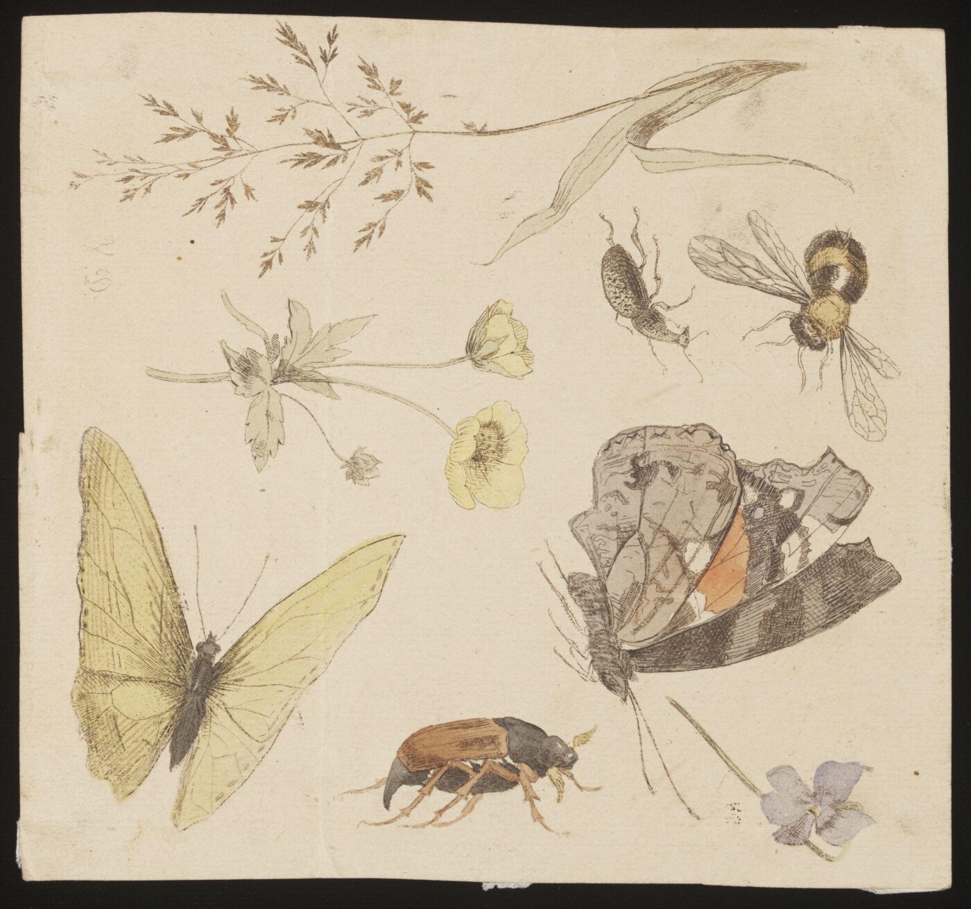 Unknown, Print