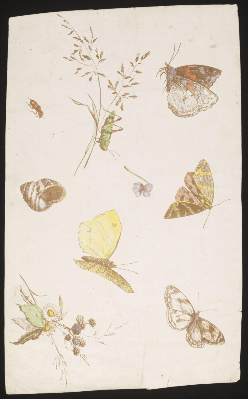 Unknown, Print
