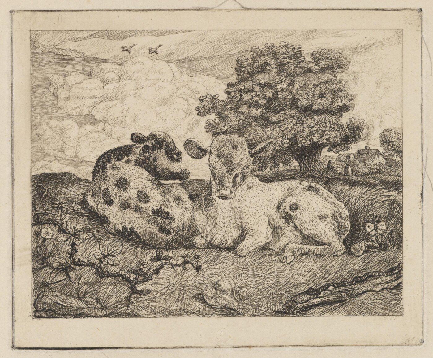 Unknown, Print