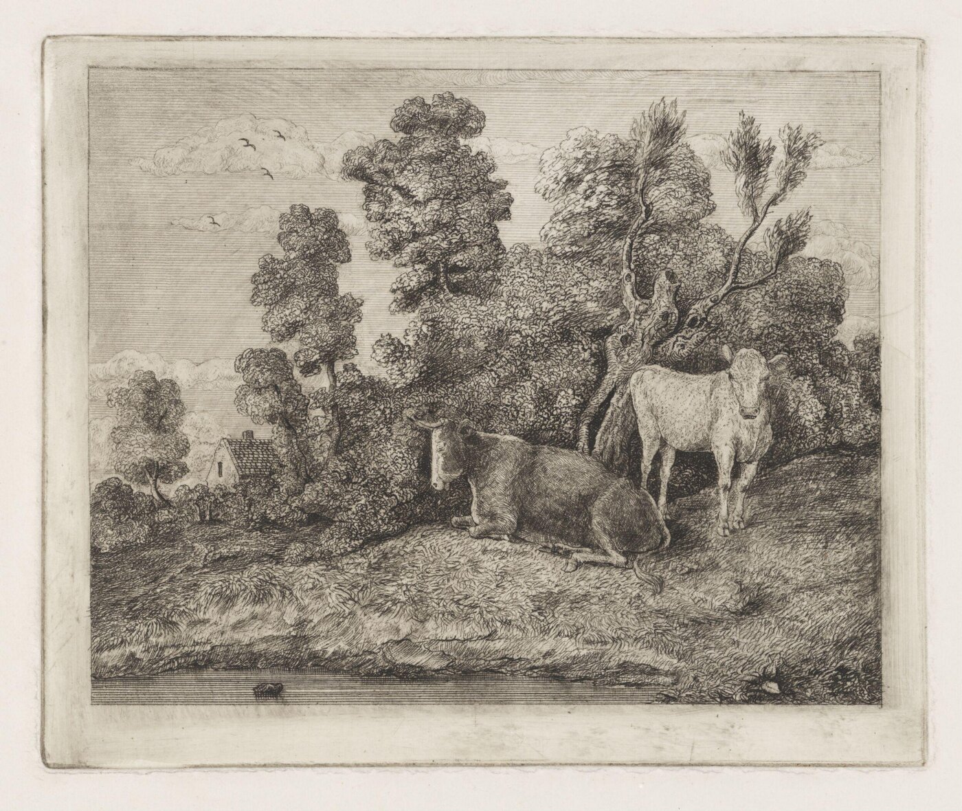 Unknown, Print