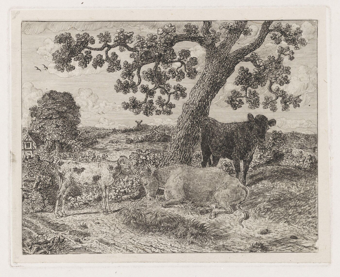 Unknown, Print