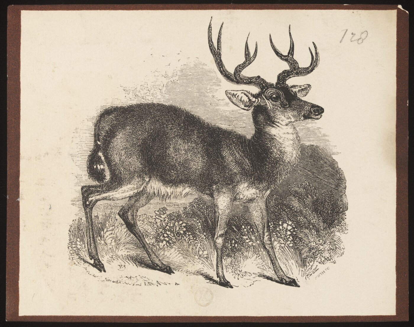 Smith, Print