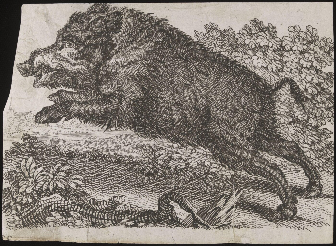 Unknown, Print