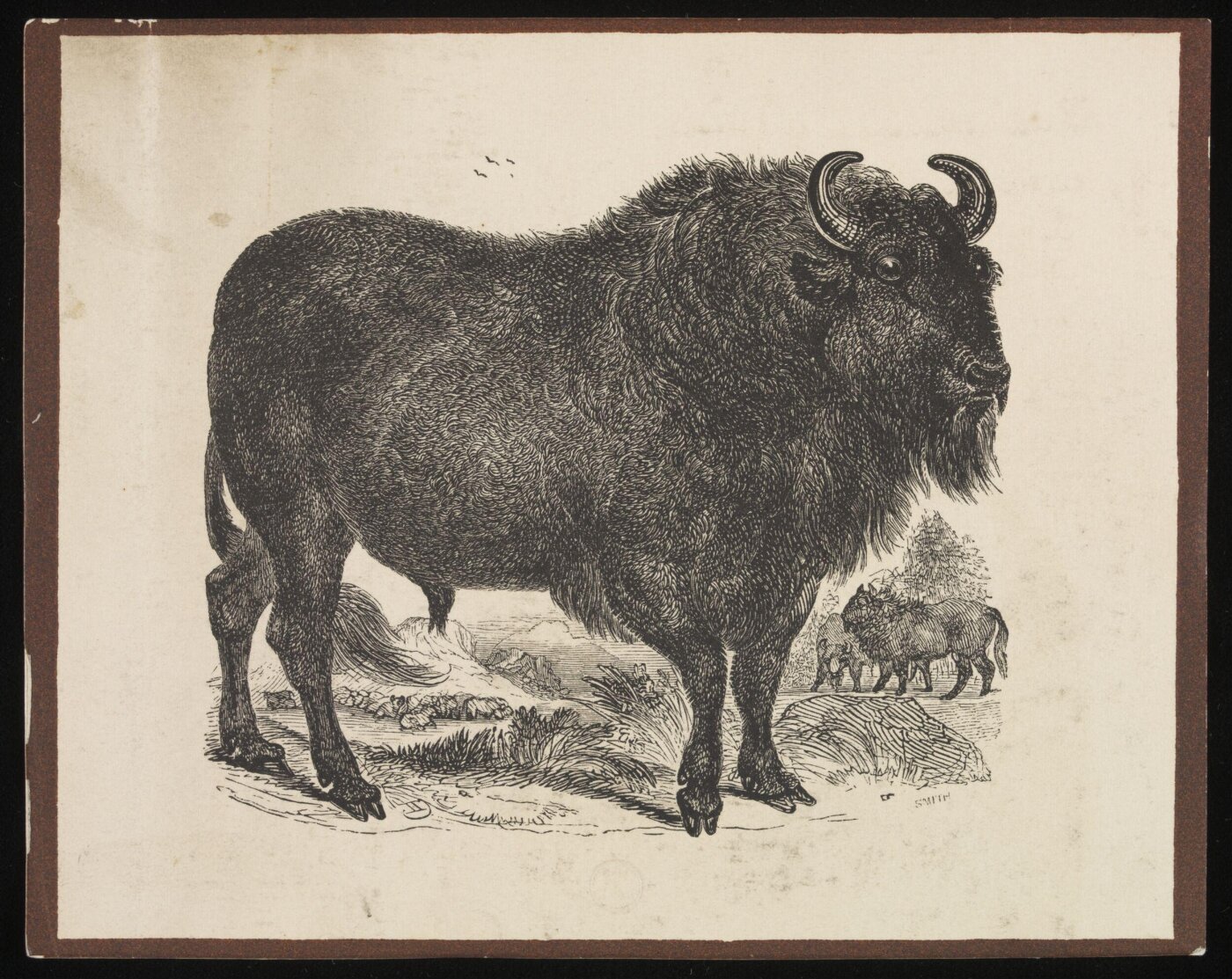Smith, Print