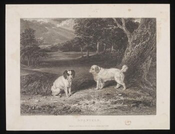 SPANIELS