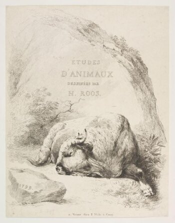 ETUDES D'ANIMAUX DESSINEES PAR H. ROOS