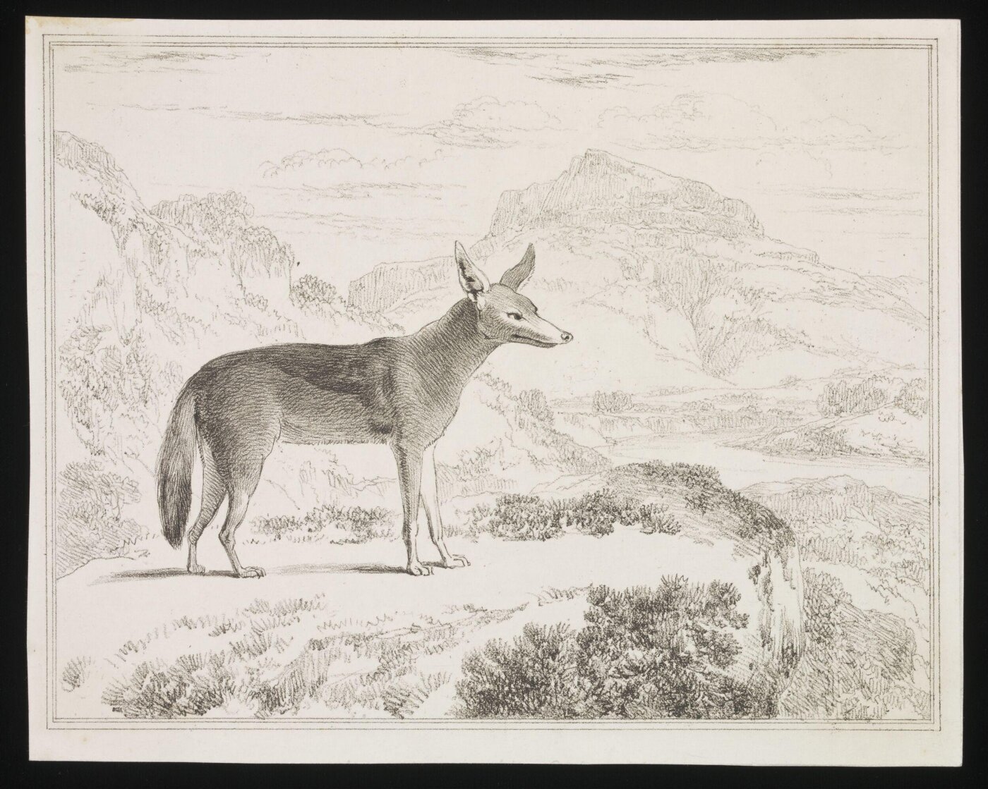 Unknown, Print