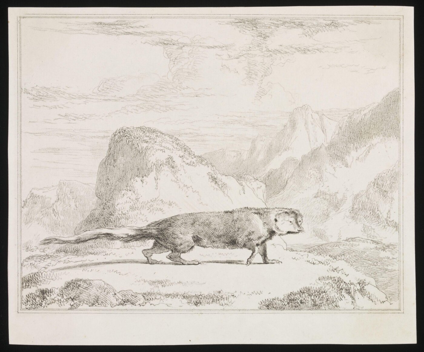 Unknown, Print