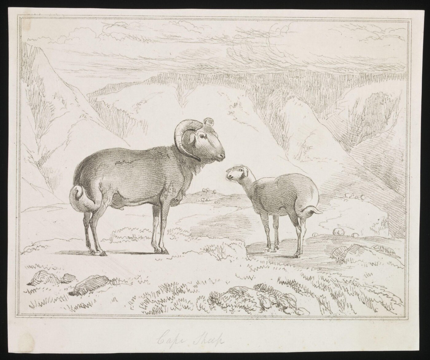 Unknown, Print