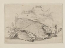 Study of a boulder, small rocks and foliage thumbnail 1