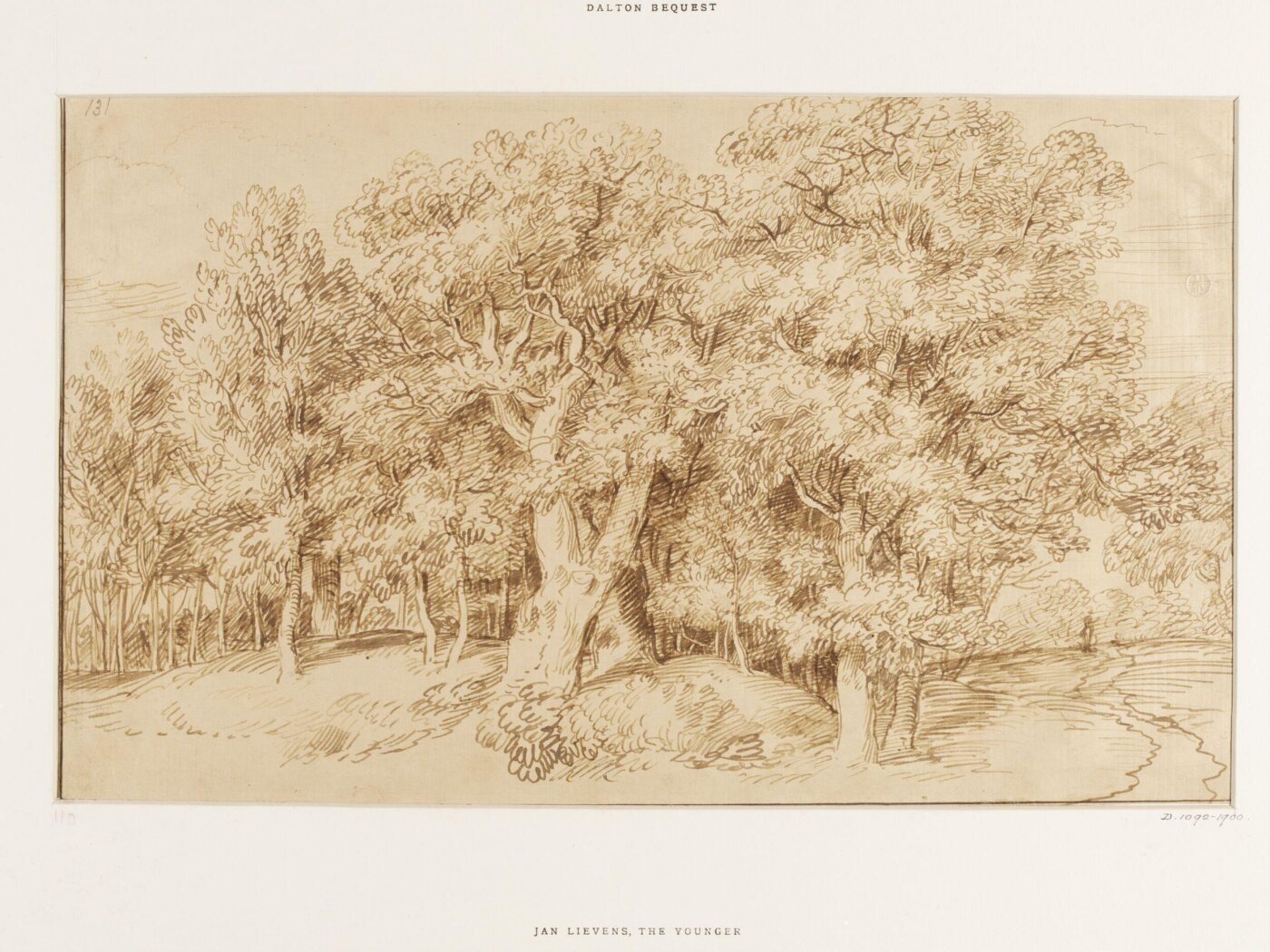 Jan Lievens, Study of a grove of oak trees