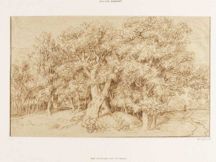 Study of a grove of oak trees top image