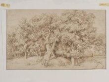 Study of a grove of oak trees thumbnail 1