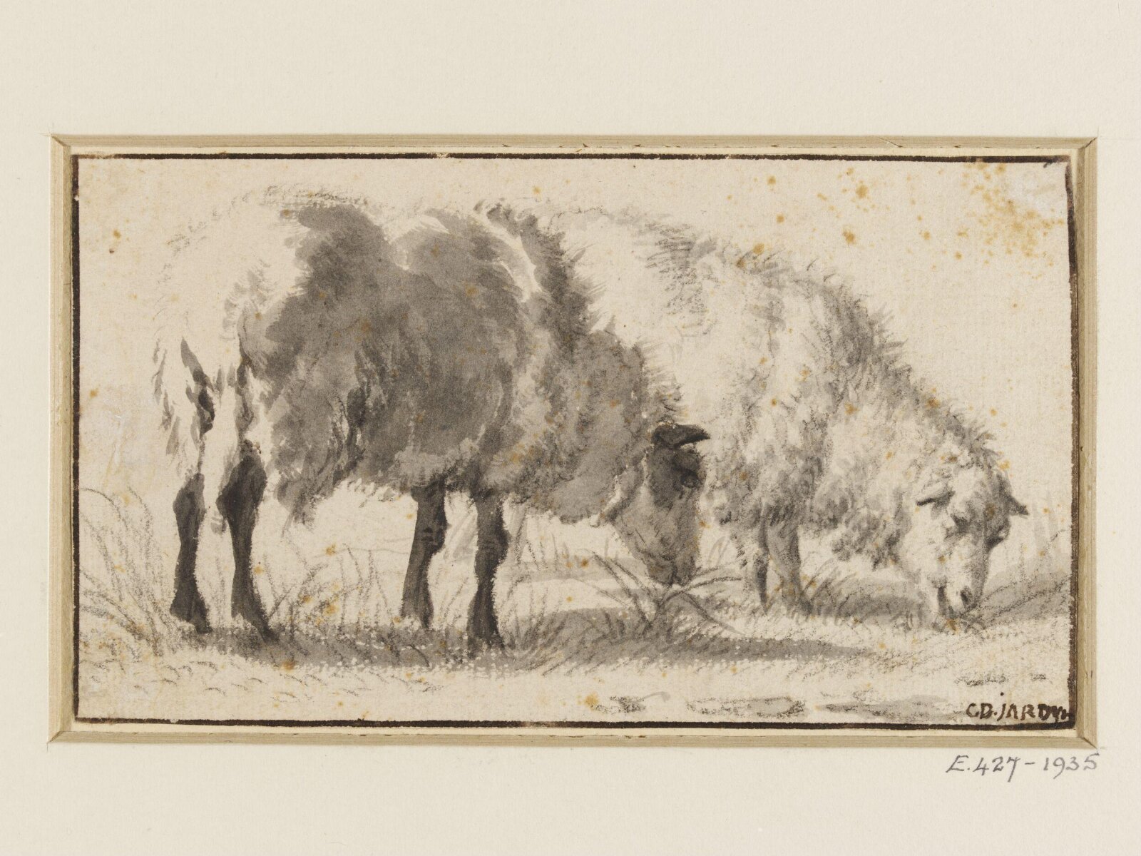 Two Sheep Grazing, Cornelis Saftleven, 17th century