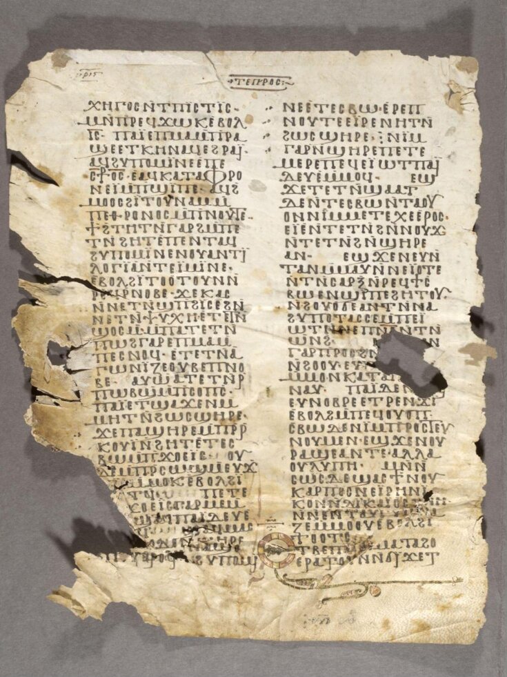 Manuscript top image