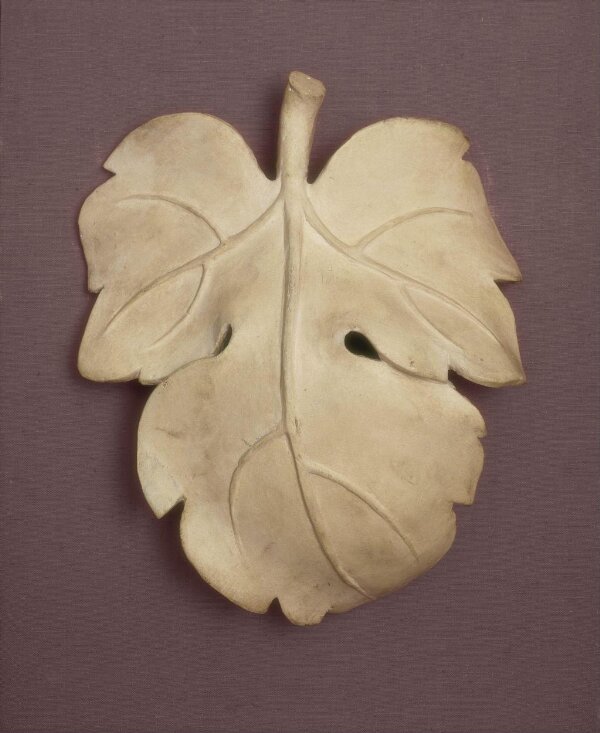 Fig Leaf for David V&A Explore The Collections