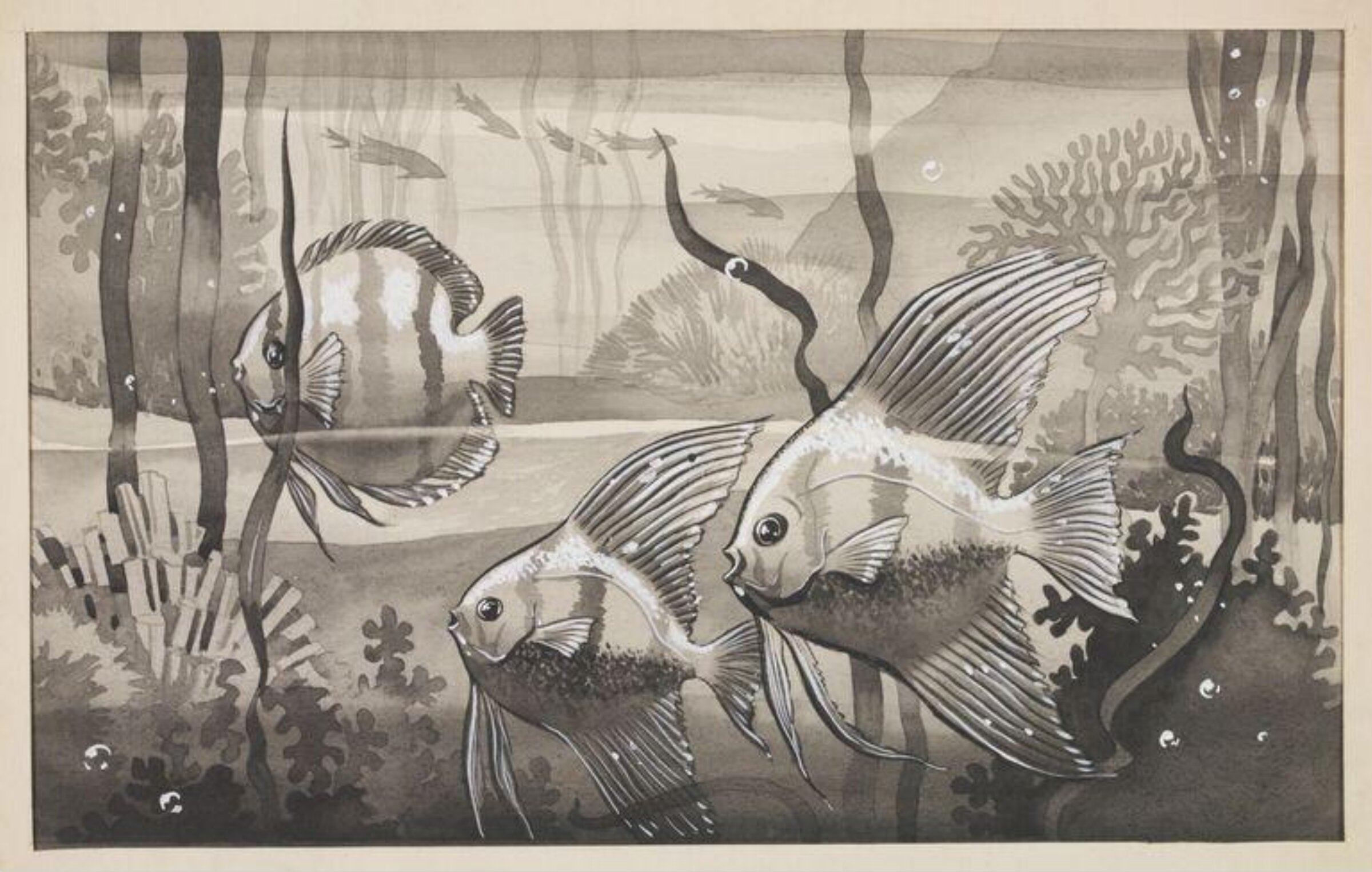 Tropical fish, Wilfrid R. Addey, late 1940s