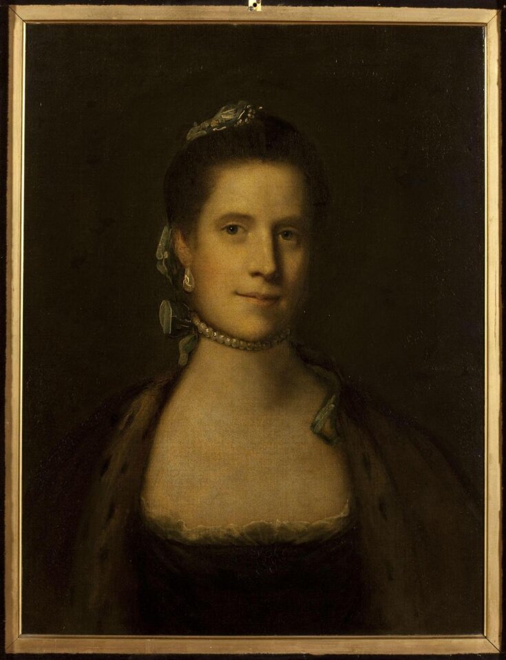 Portrait of a Lady top image