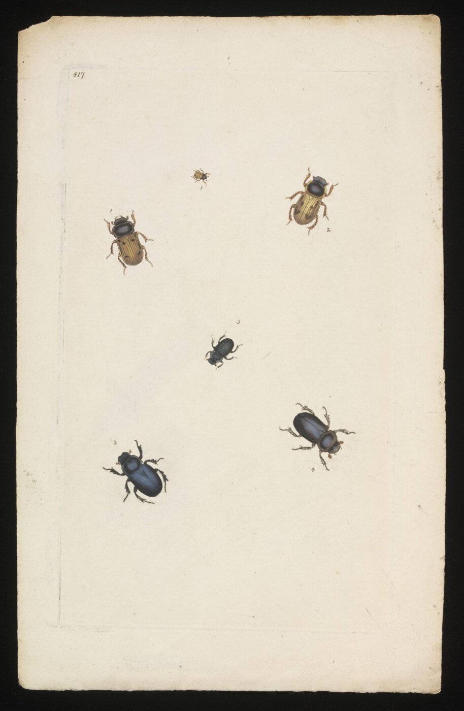 Unknown, Print