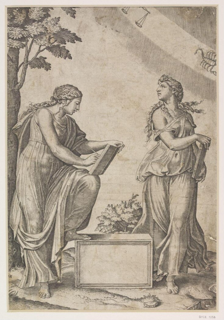The Two Females of the Zodiac top image