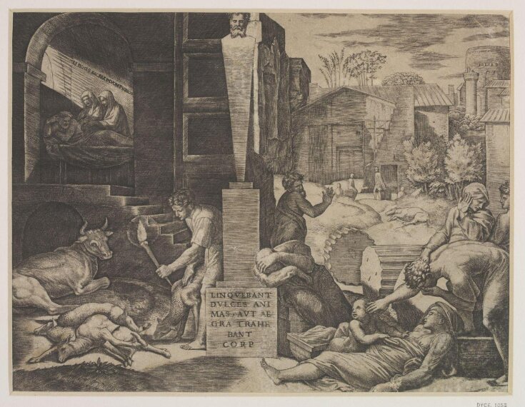 Il Morbetto (The Plague) top image
