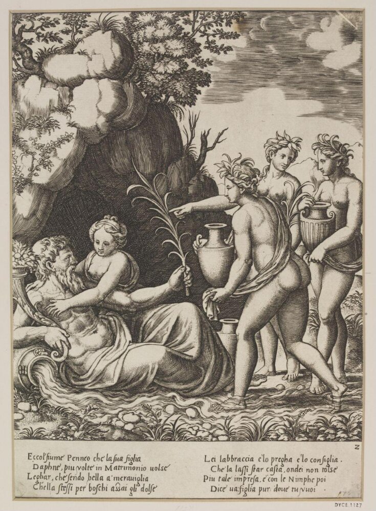 The History of Apollo and Daphne top image