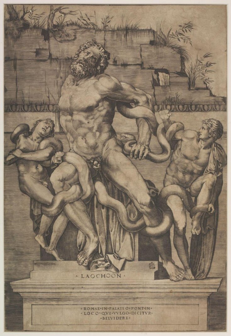 The Laocoon Before Restoration top image
