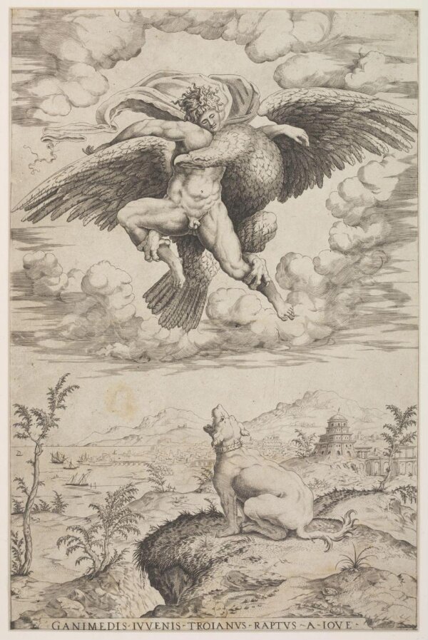 Mark Raimondi Rape of Ganymede | Marcantonio Raimondi | Michelangelo | V&A Explore ...