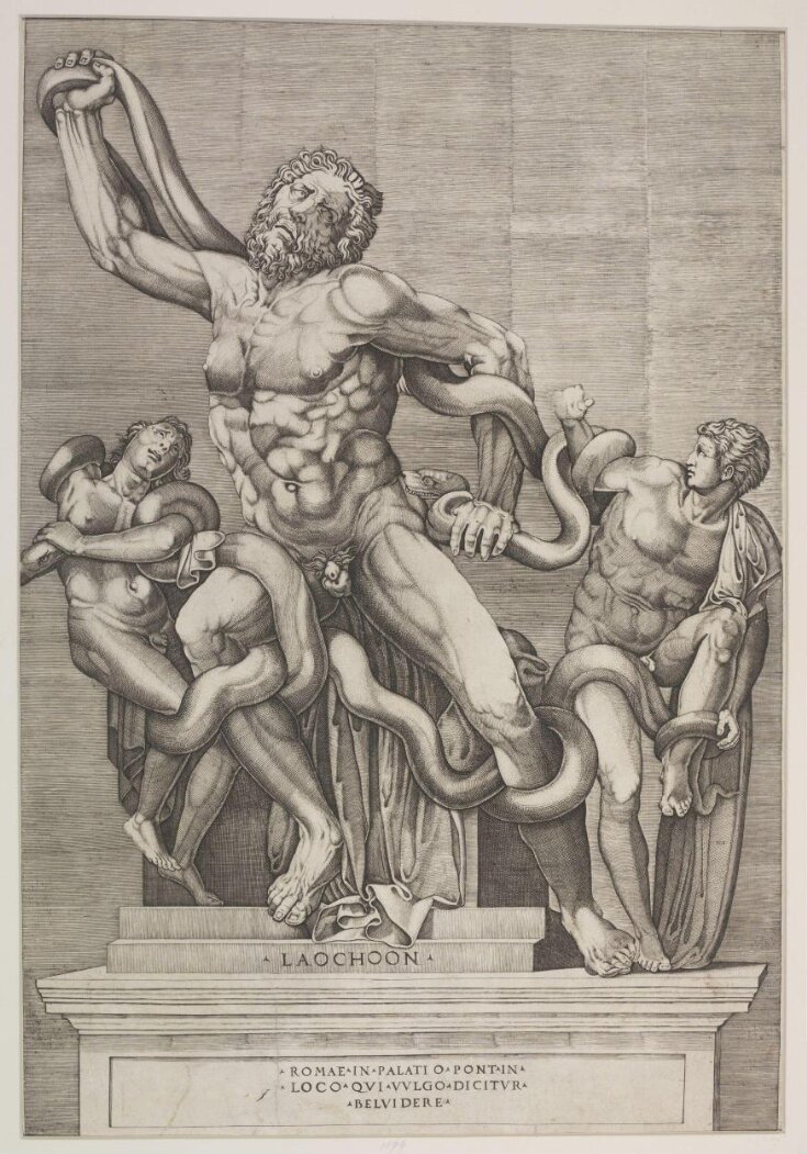 Laocoon and His Sons top image