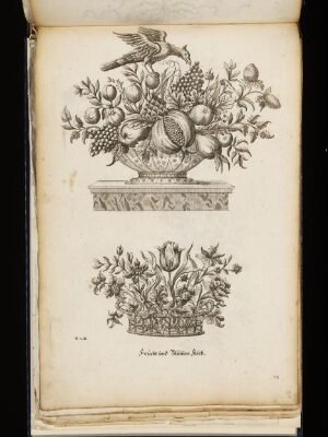 Kunst-und Fleiss-übende Nadel-Ergötzungen oder neu- erfundenes Neh- und Stick-Buch